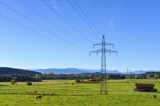 High-voltage line near Egling
