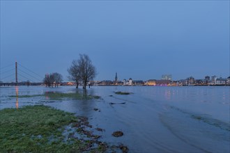 Flood on the Rhine in front of Dusseldorf's Old Town during blue hour