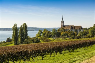 View of Lake Constance with vineyards and Birnau Monastery