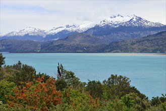 View of Lake Lago General Carrera and snow-capped mountains