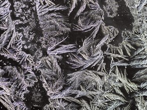 Ice crystals at a window