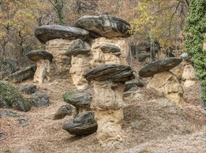 Stone Mushrooms