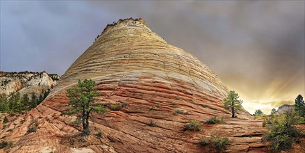 Table Mountain Checkerboard Mesa