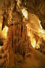 Stalactites and stalagmites have merged into a pillar