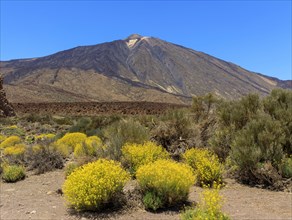 Volcano Pico del Teide