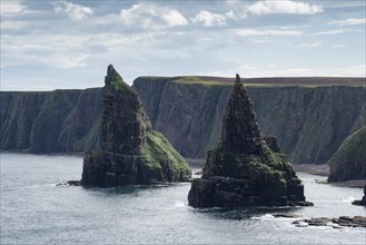 Rugged coastal landscape with the rock spikes Duncansby Stacks