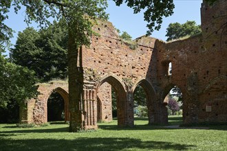Eldena Monastery Ruin in Greifswald