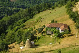 Farmhouse in Tobel