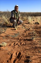 Ranger of !Xaus Lodge shows traces of Oryx in Sand