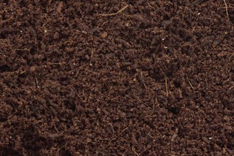 Coconut coir or Coco coir