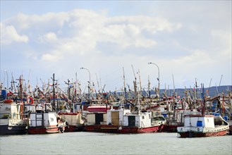 Many fishing boats in the port