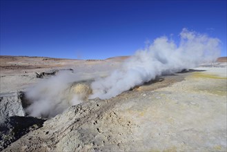 Fumaroles at the highest geothermal field in the world