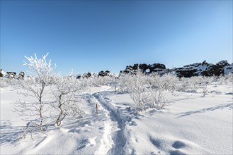 Footprints in snowy landscape