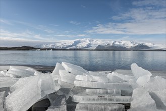 Ice floes on the banks of Fjallsarlon Glacier Lagoon