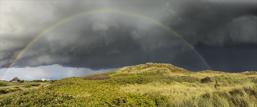 Rainbow with dramatic rain clouds over dune landscape