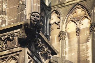 Demonic gargoyle on Cologne Cathedral