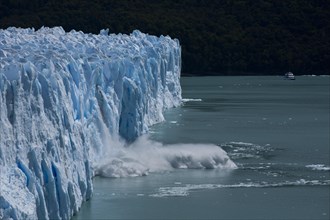 Perito Moreno Glacier calving into Lago Argentino