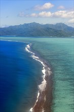 Reef in the South Seas