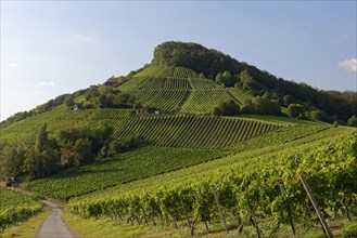 Winery at Stollberg