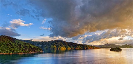 Tightly overgrown coastal forest at sunrise in Queen Charlotte Sound