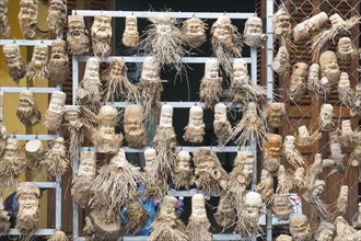 Ginseng figures on the market