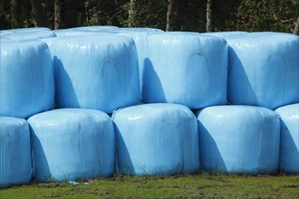 Grass silage wrapped in blue plastic