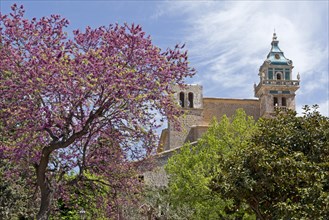 Former Carthusian monastery in Valldemossa