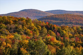 Autumn colors