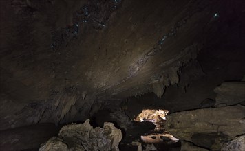 Stalactite cave with firefly colony