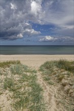 Beach and Baltic sea at Baabe