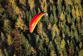 Paraglider flying over autumn woods