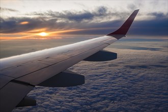 Wing of the airplane