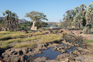 Landscape around the Kunene River at Epupa Falls