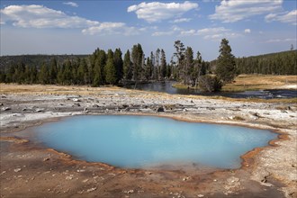 Black Opal Pool