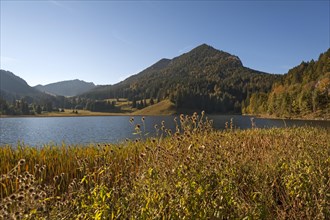 Lake Walchsee in autumn