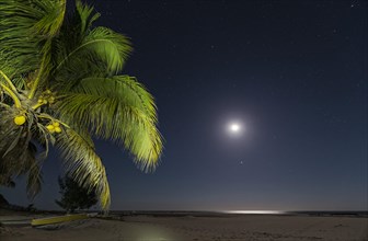Sand beach at moonlight