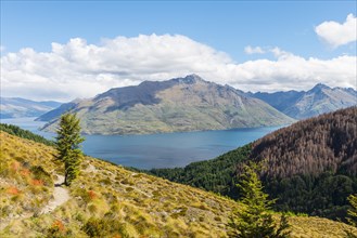 View of Lake Wakatipu