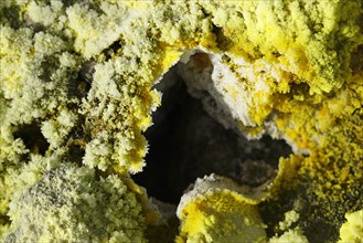 Sulphur fumaroles on the Gran Cratere