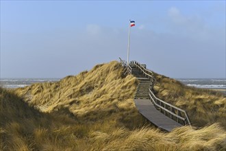 Boardwalk on the dunes of the North Sea