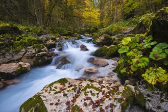 Hammersbach in autumn