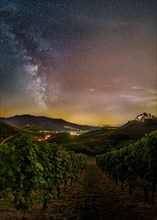 Milky Way over wine growing region
