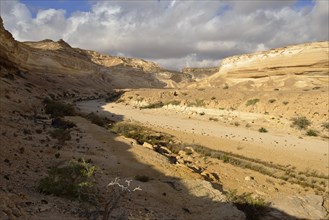 Limestone canyon of Wadi Shuwaymiyah