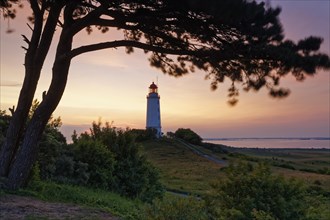 Lighthouse Dornbush on the Schluckwieksberg