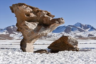 Arbol de piedra in the snow