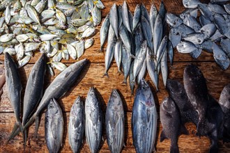 Fresh fish on table for sale