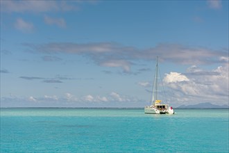 Catamaran in turquoise lagoon