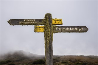 Moss-covered signpost