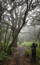 Tourists takes pictures of trees in fog forest