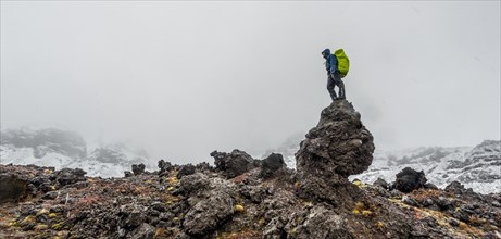 Hiker standing on rock