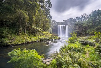 Waterfall